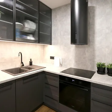 Beautiful Urban Oasis Apartment Vilnius