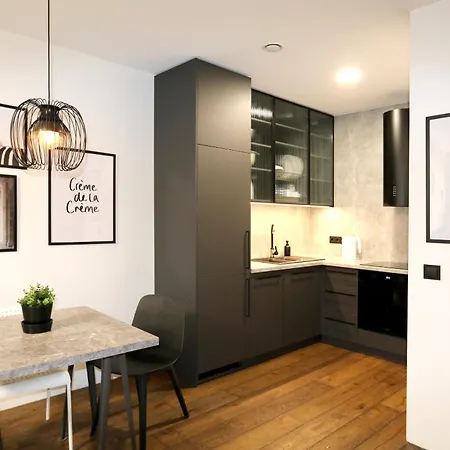 Beautiful Urban Oasis Apartment Vilnius
