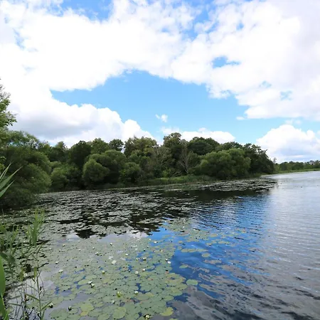 Butas Beautiful Urban Oasis